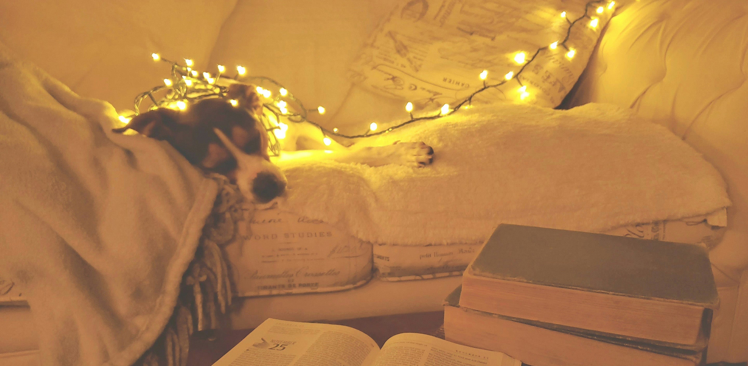 ☕🧣 Cozy with Christ