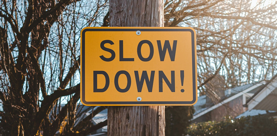 The Great Slow Down 🐢🍂