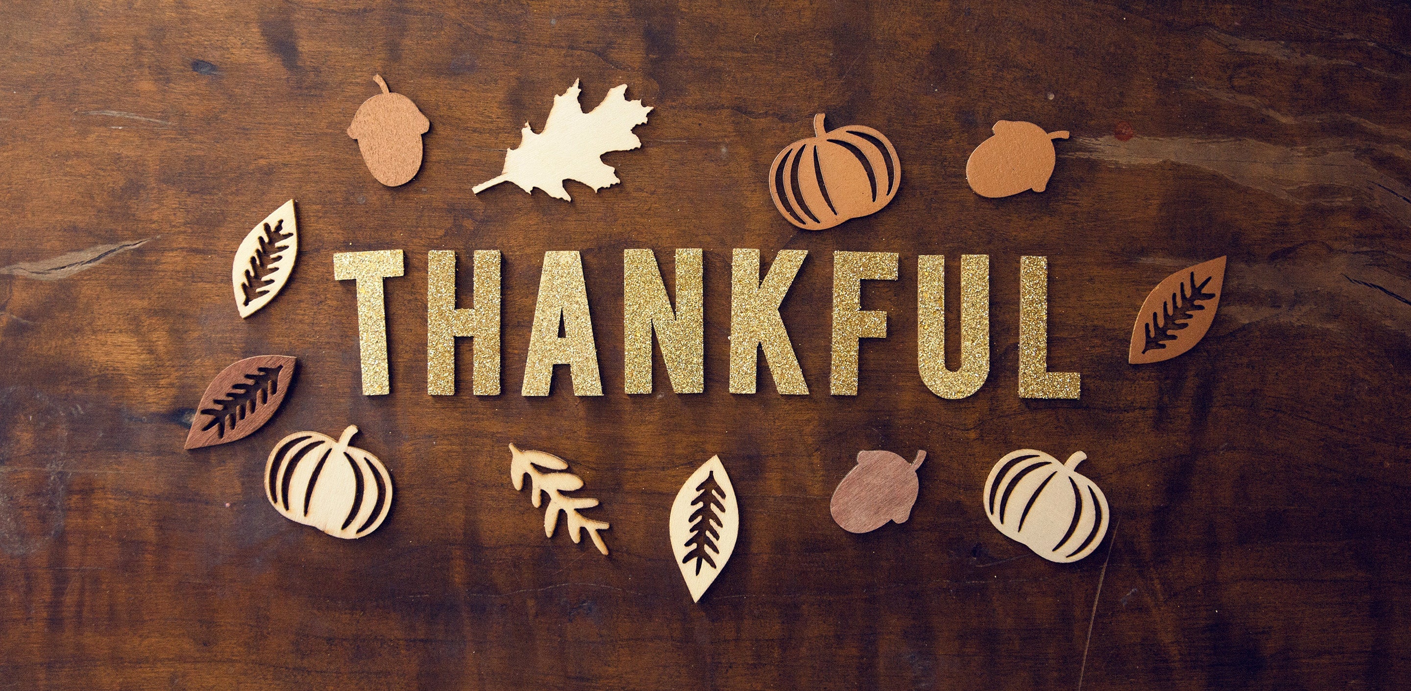 Feast Mode Activated 🍽️ 🙌