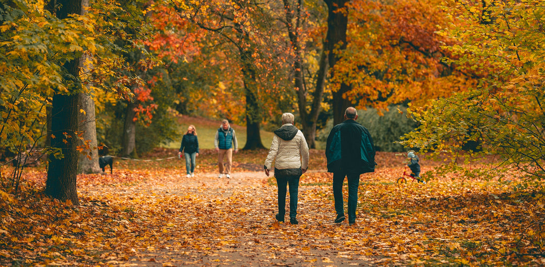 Finding God in the Season of Change 🍁🙏